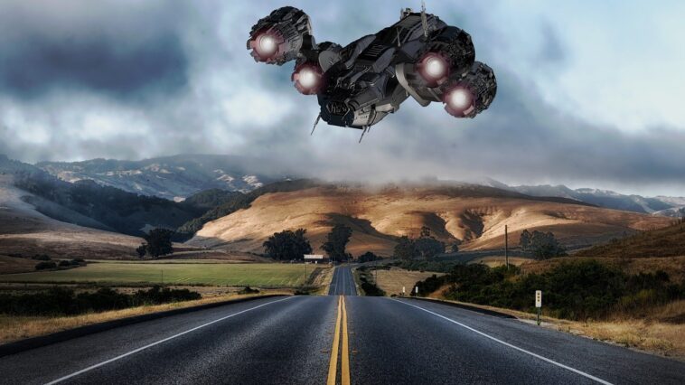 What is the best bet in a crypto bull run?