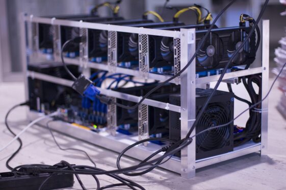 The Top 7 Tax Management Options in 2024: 7 Crypto Calculators for Accurate Management