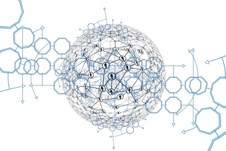 What is the Next Big Cryptocurrency? Trends, Community Insights