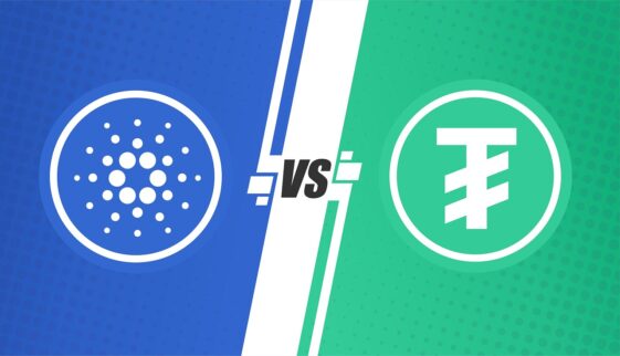 Cardano Founder Slams Ripple CEO, Calling CLARITY Act a Win for Some and a Blow to Others